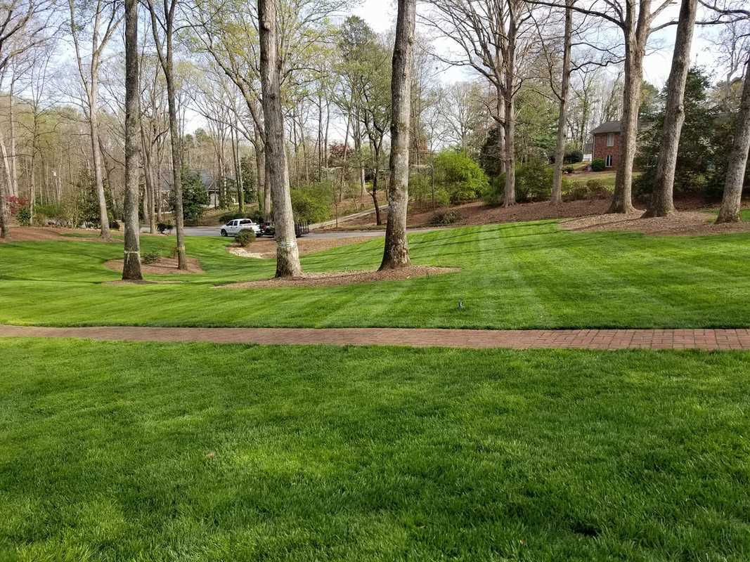 Residential & Commercial Groundskeeping Services